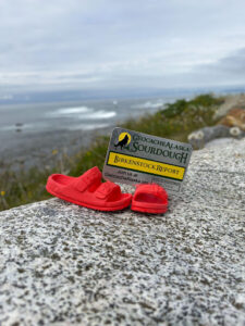 Some mini-birkenstocks enjoying the ocean view on the Peninsula just beyond Yakutat.